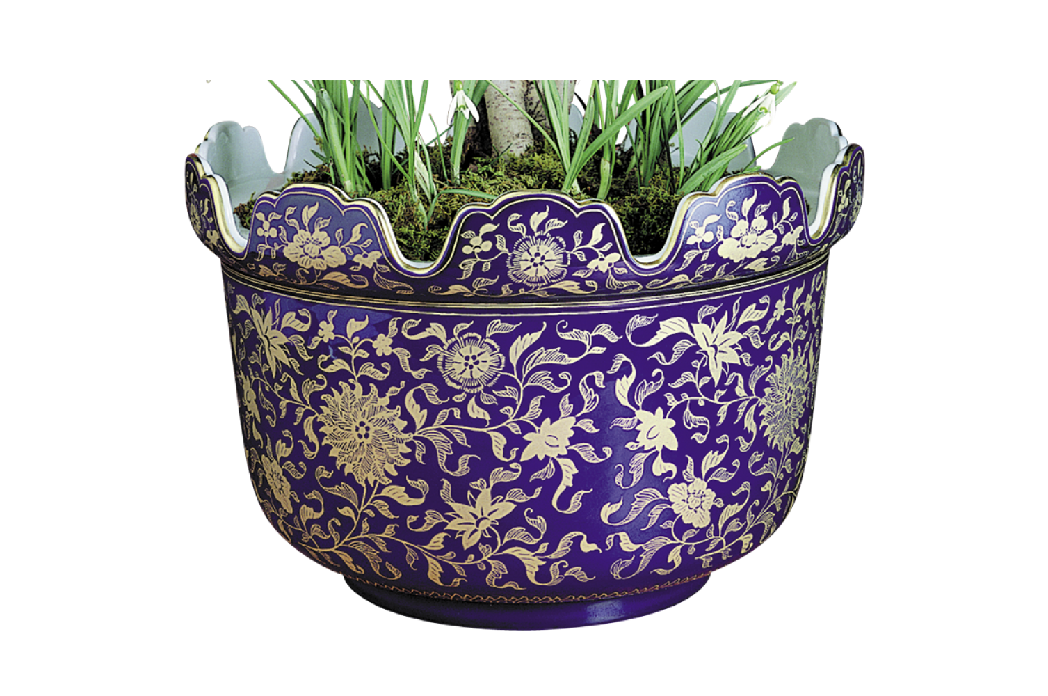 BLUE & GOLD MONTEITH PLANTER