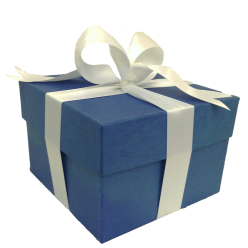 DUKE OF GLOUCESTER DESSERT SET OF 4 WITH GIFT BOX