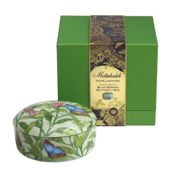 BUTTERFLY BOX, HEIRLUMINARE BLUE MORPHO