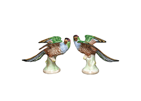 PARAKEETS, PAIR